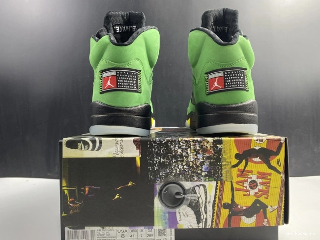 Rep Air Ducks 5 CK6631-307 Jordan SE Oregon 0814